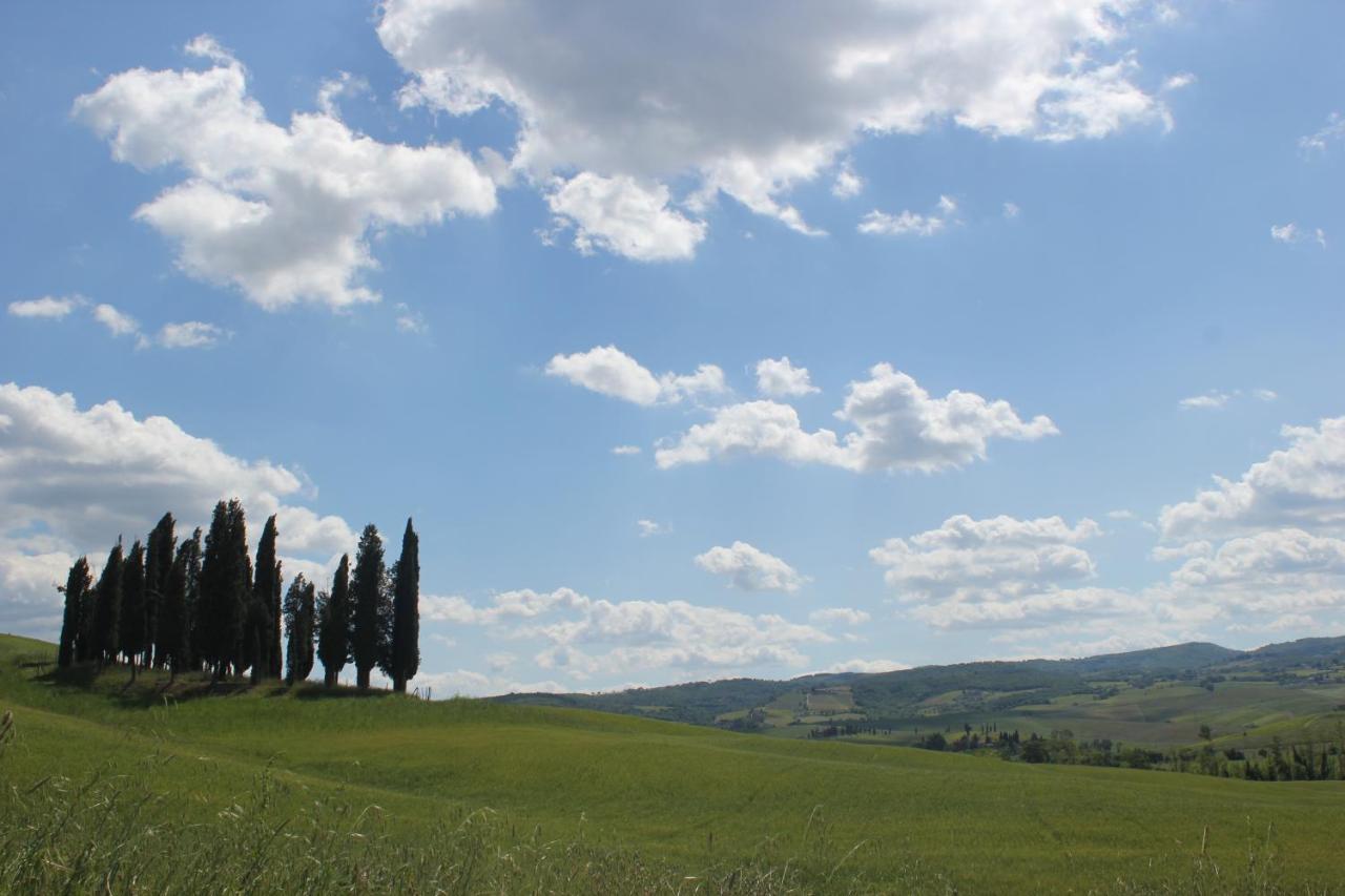 La Casina di Nonna Lola Villa Castiglione dʼOrcia Eksteriør billede